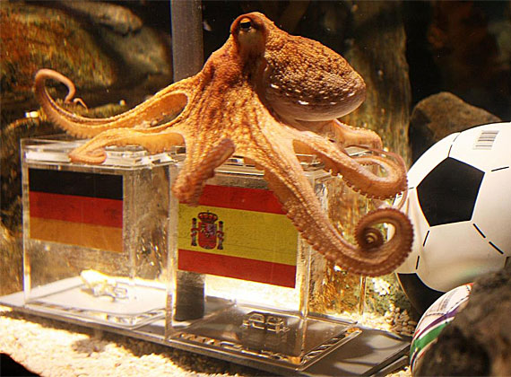 pulpo del mundial de sudafrica